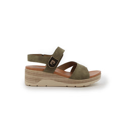 EMELINE OLIVE
