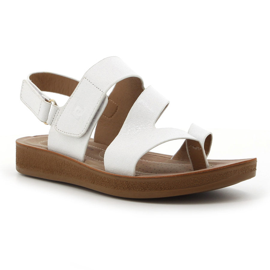 PCL10510WHWH-02