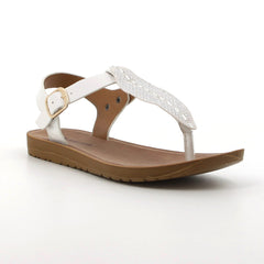 PCL10511WHWH-02
