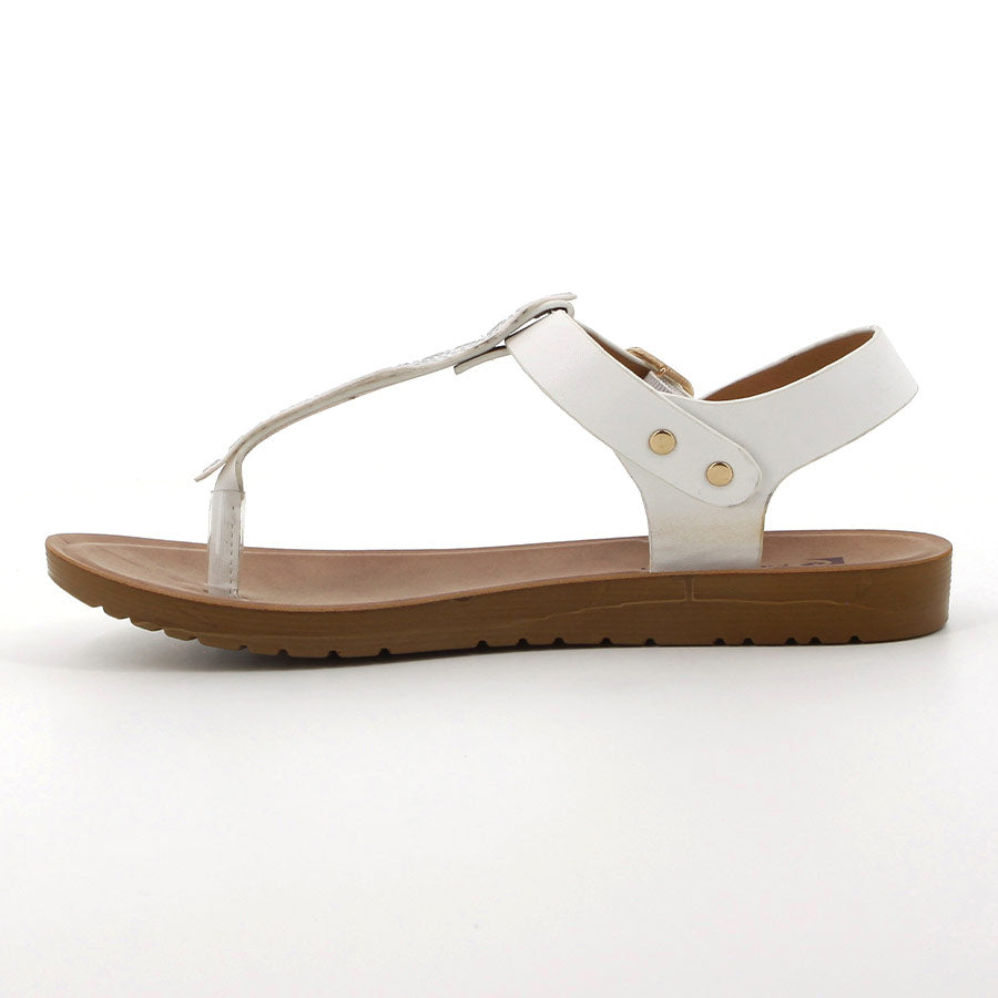 PCL10511WHWH-05