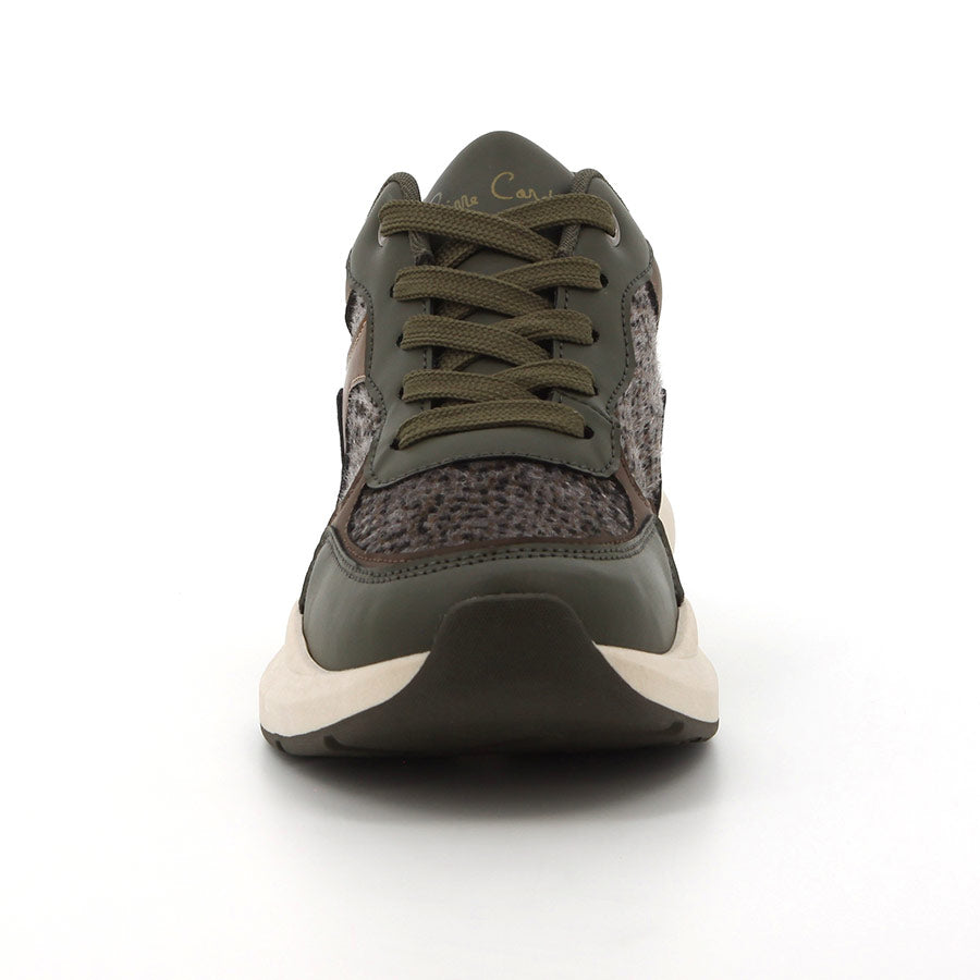 PCL10696OLLP-03